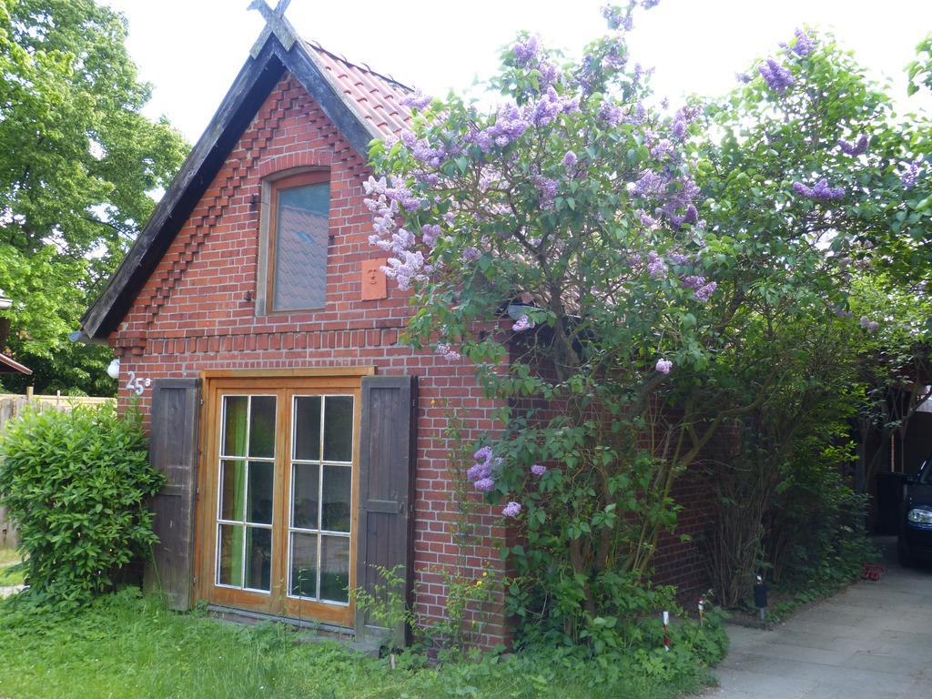 Ferienhaus Elbtalaue Блеккеде Номер фото